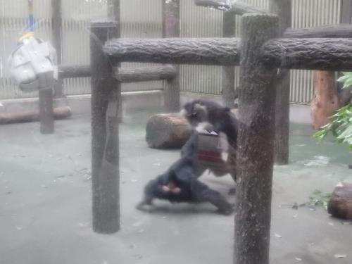 9 9