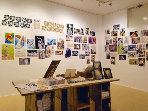 個展1 個展1