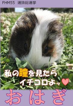 おはぎ 1 おはぎ 1