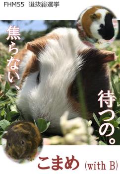 こまめ 1 こまめ 1