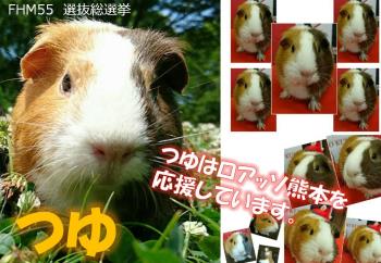 つゆ 1 つゆ 1