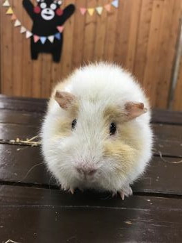ミル 1 ミル 1