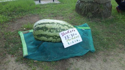 1 1
