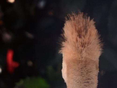 1 1