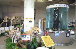 動物資料館