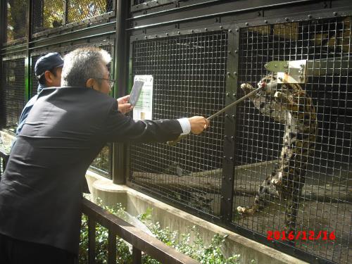 ウンピョウの写真 ウンピョウの写真