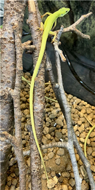 みやこ みやこ