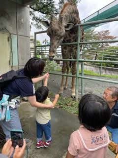 55 55