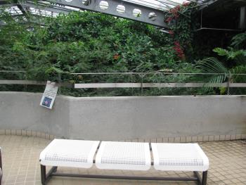 ベンチ ベンチ