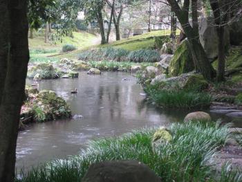 日本庭園 日本庭園
