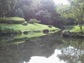 日本庭園池 日本庭園池