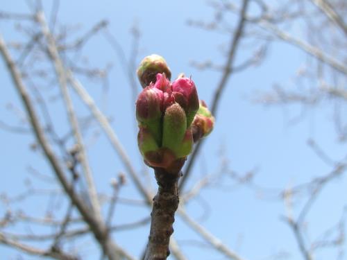 陽光0307 陽光0307