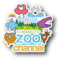 zoo ch