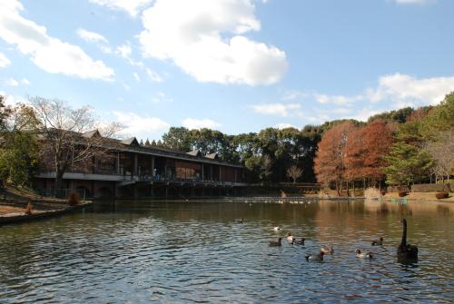 よし池から見た動物資料館 よし池から見た動物資料館