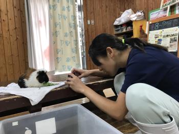 モヒモヒ 2 モヒモヒ 2