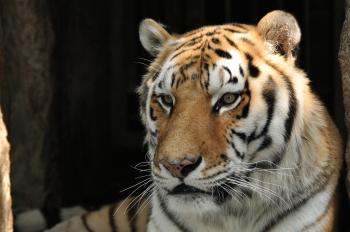 トモオ写真 トモオ写真