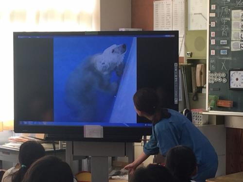 事前学習3 事前学習3