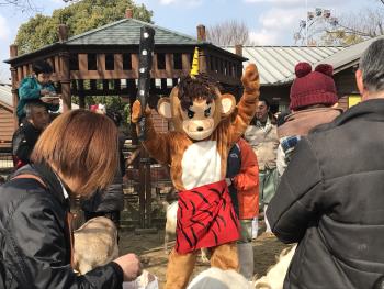 豆まき 豆まき