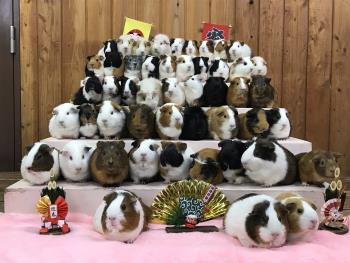 おんなのこ おんなのこ