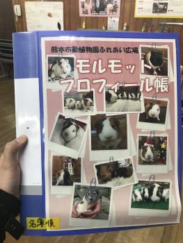 プロフィール帳 プロフィール帳