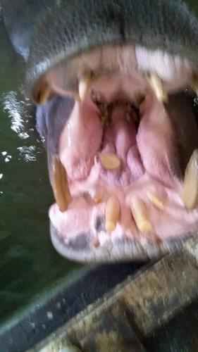 1 1