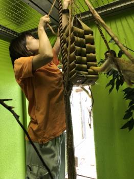 リスザル1 リスザル1