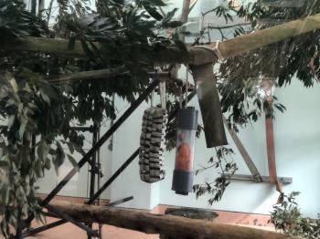 フィーダーいろいろ1 フィーダーいろいろ1