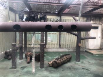 フィーダーいろいろ2 フィーダーいろいろ2