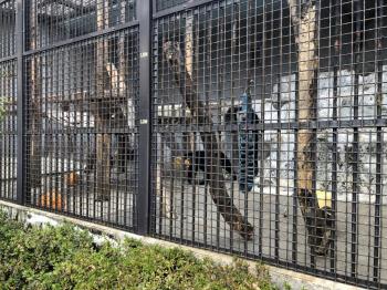 フィーダーいろいろ3 フィーダーいろいろ3