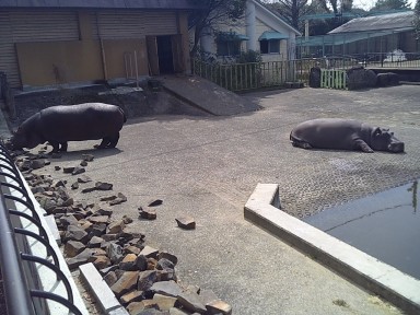 モモコとソラ モモコとソラ