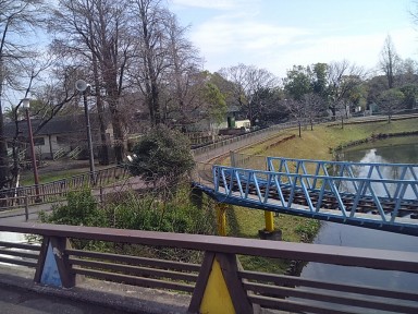 シマウマ裏 シマウマ裏