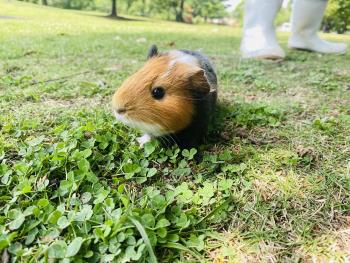 キョロ キョロ