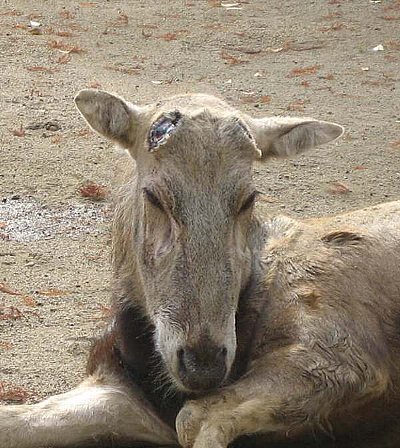 25正面拡大 25正面拡大