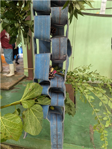 消防ホース 消防ホース