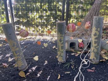 おとしだま おとしだま