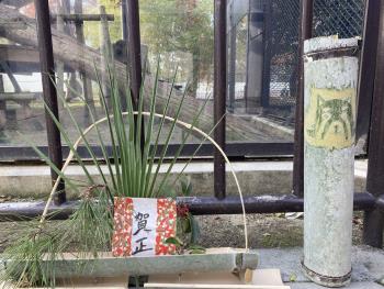 お正月飾り3 お正月飾り3