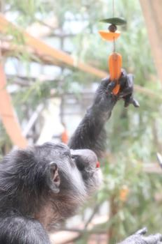 手をのばすマルク 手をのばすマルク
