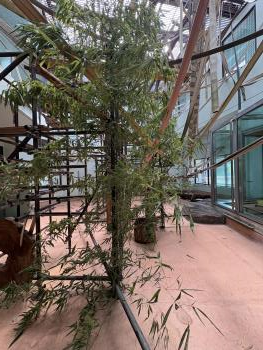 笹設置① 笹設置①