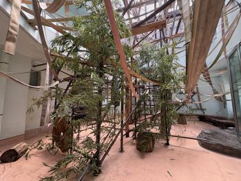 笹設置② 笹設置②