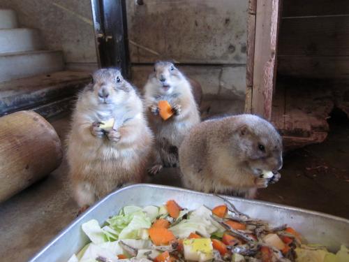 親プレと子プレ 親プレと子プレ