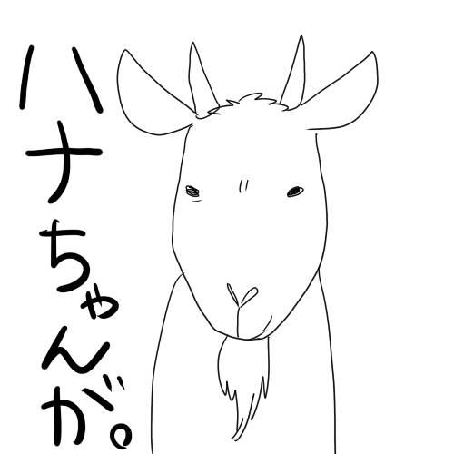 いつもの花 いつもの花