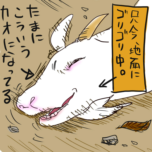 なんという顔 なんという顔