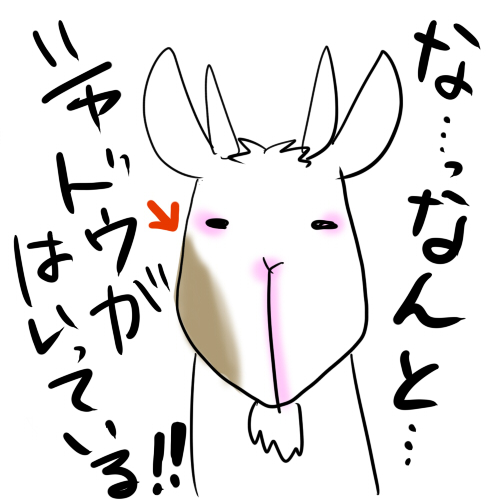 シャドウ入り シャドウ入り