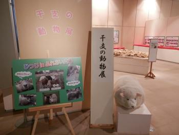 入り口 入り口