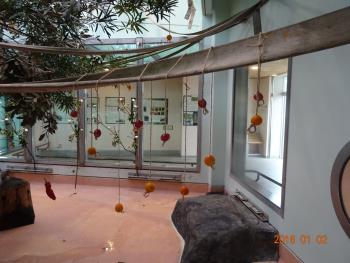 カザリ1 カザリ1