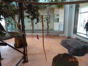 カザリ2 カザリ2