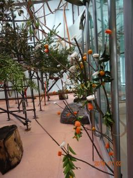 カザリ4 カザリ4