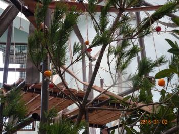 カザリ5 カザリ5