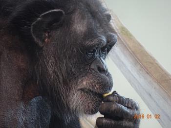 カナエキンカン1 カナエキンカン1