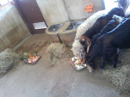 ふれあい2 ふれあい2